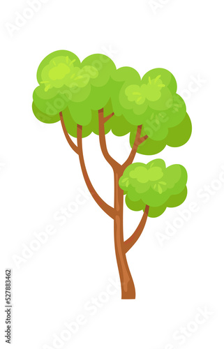 Young tree. Cartoon nature oak with branch  vector design