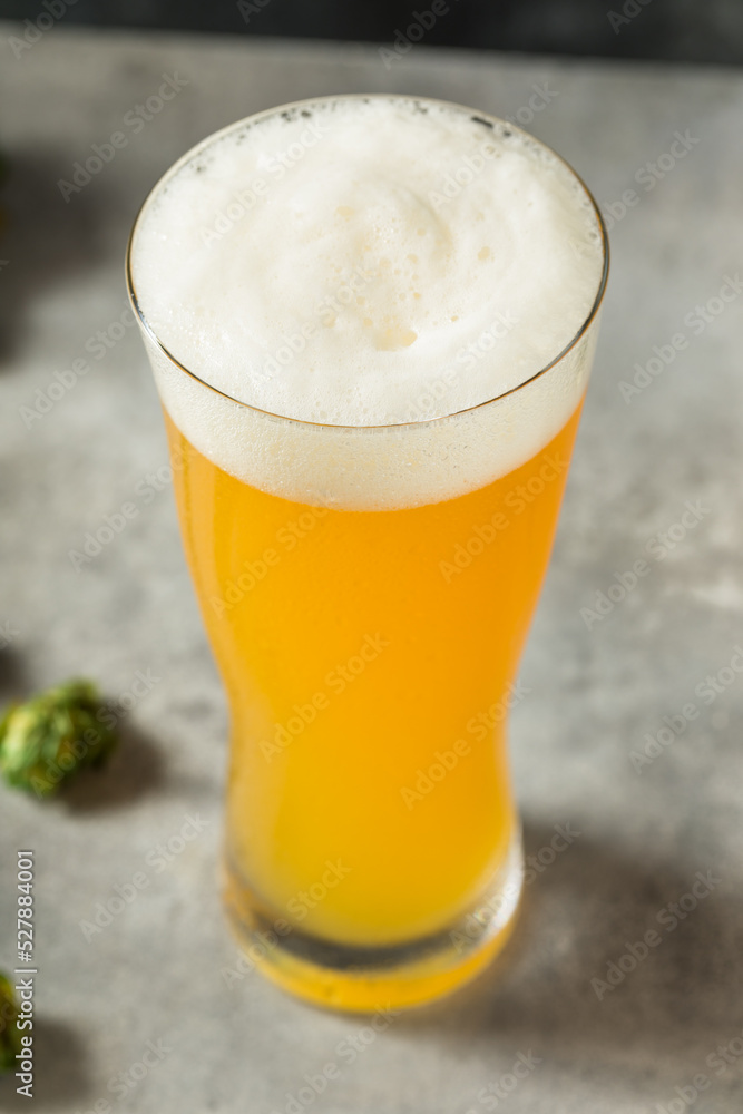 Cold Refreshing IPA Craft Beer