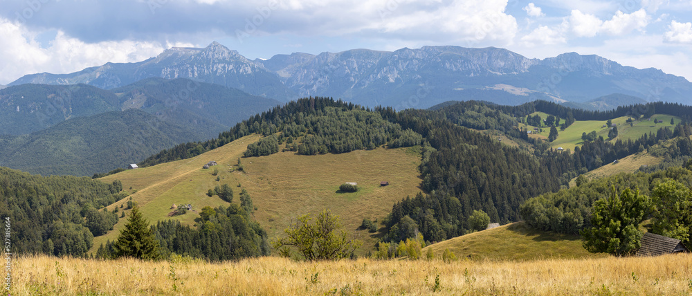 Typical Carpathians Mountains landscape in summer during a beautiful day in Transylvania, Romania