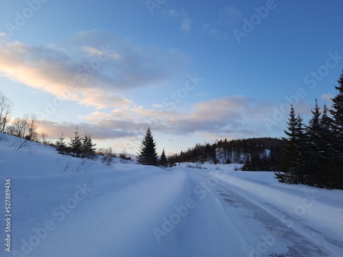 Winter Landscape © Esther