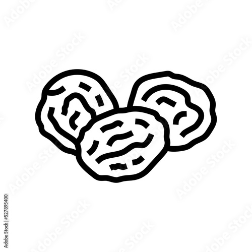 dried apricot fruit line icon vector. dried apricot fruit sign. isolated contour symbol black illustration