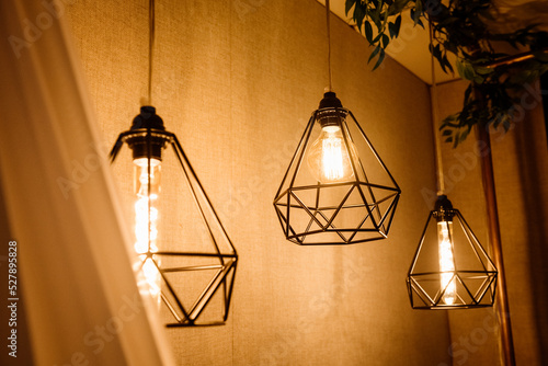 Hanging Edison bulbs in vintage metal cages for wedding decor