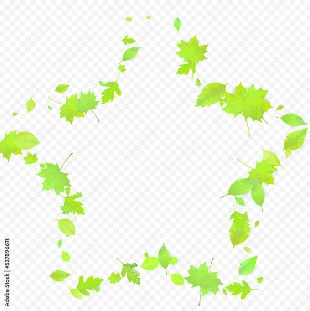 Leaves Falling Spring Flying Foliage Green Leaf Leaves Falling Spring Flying Foliage Green Leaf