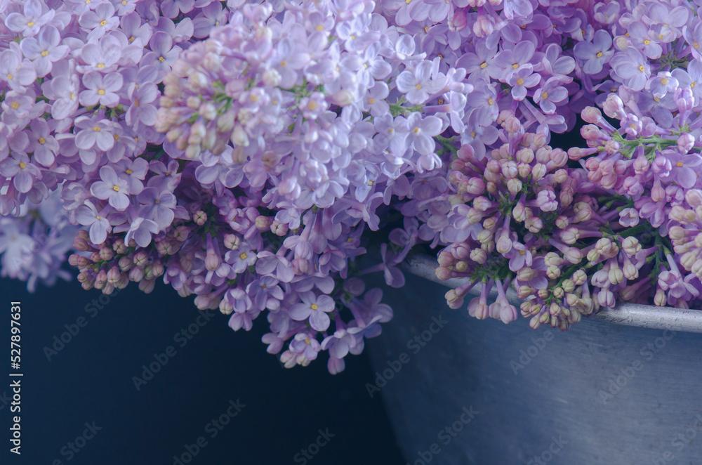 lilac flowers in a basin close-up lilac flowers in a basin close-up