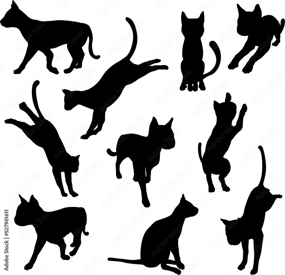 Pet cat silhouettes