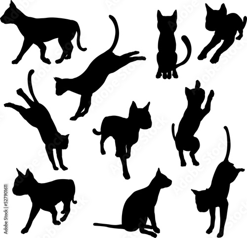 Pet cat silhouettes