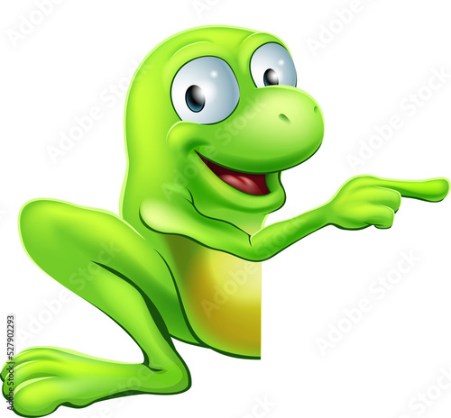 Frog peeking round sign poi...