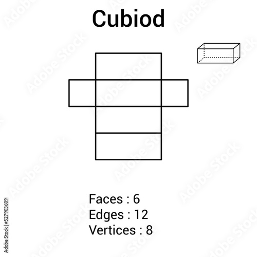 Geometry net of cuboid. 3d solid shape in mathematics