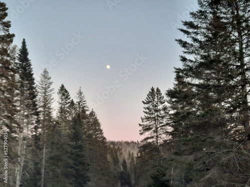 Winter Evening