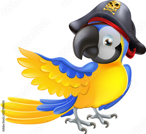 Parrot pirate character