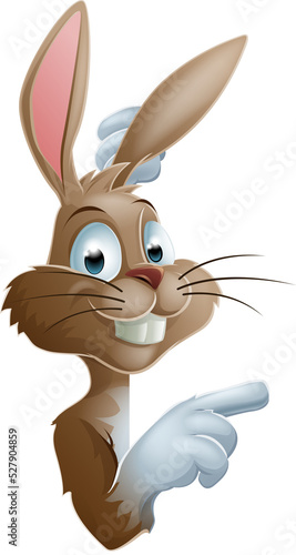 Pointing Bunny Rabbit