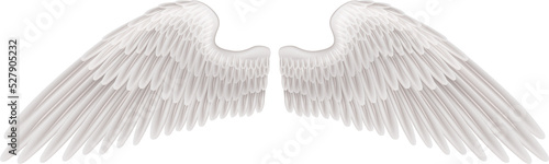 Wings illustration