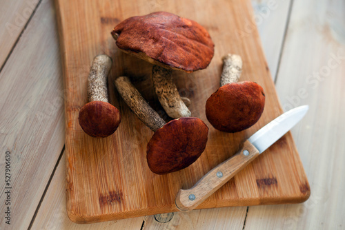 Brown cap Boletus -lot of fresh edible mushrooms on wooden kitchen table