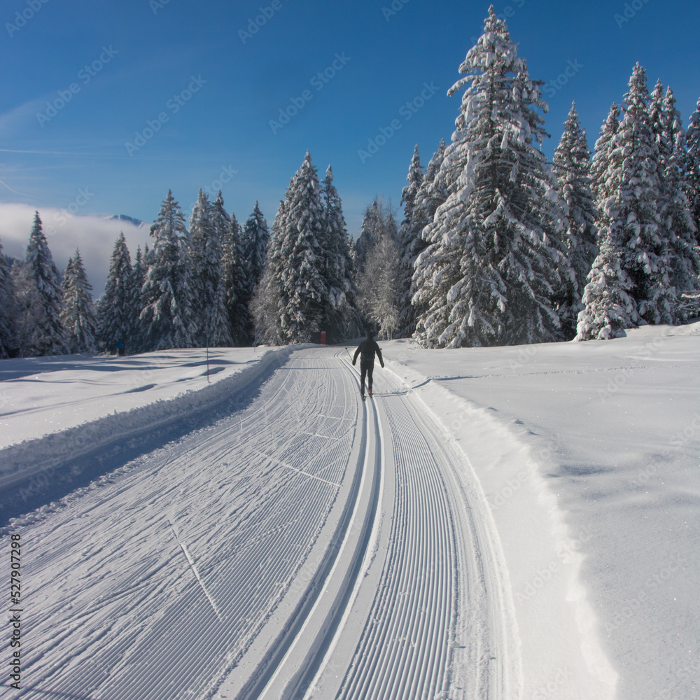 ski de fond sur une piste enneigée des alpes en hiver ski de fond sur une piste enneigée des alpes en hiver