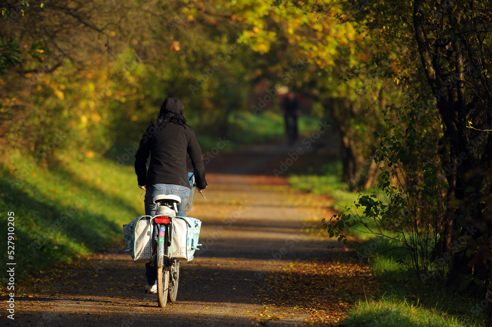 Autumn cycling along a beautiful path among golden red leaves. Road to work by bike. Jesienna jazda na rowerze piękną ścieżką, pośród złotych, czerwonych liści. Droga do pracy na rowerze. - obrazy, fototapety, plakaty 