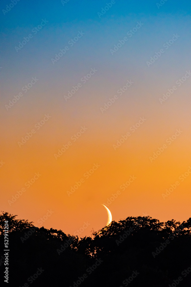 Fototapeta premium Copenhagen, Denmark A crescent moonrise over the Frederiksberg district