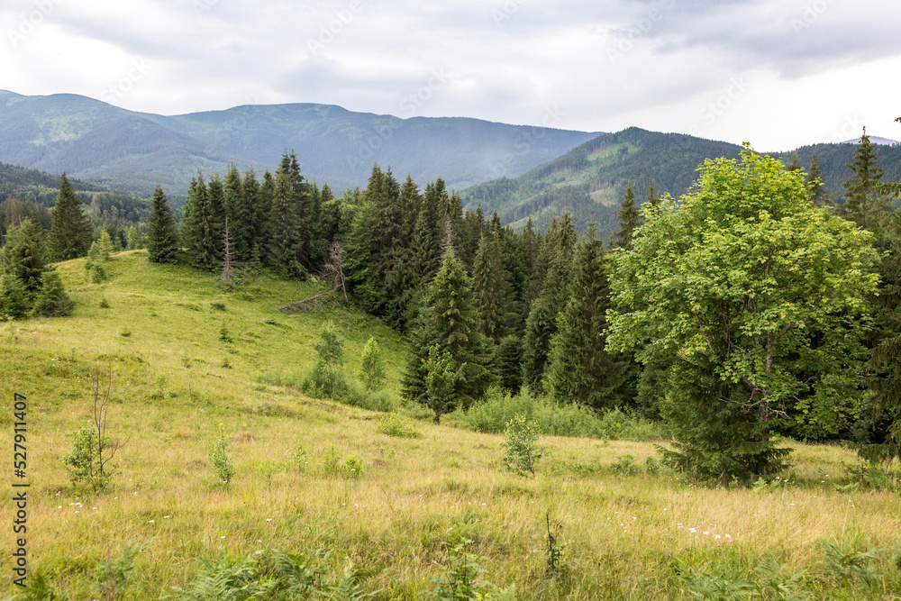 Beautiful mountain landscape among mountain hills and meadow covered green lush grass.