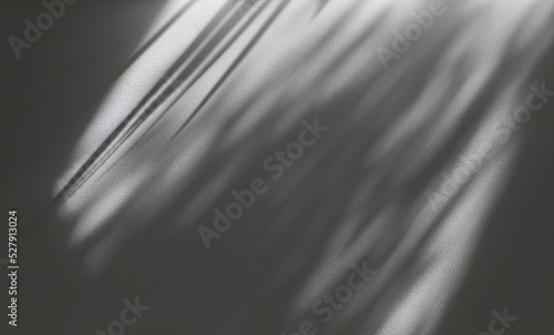 Bilde på lerret Soft focus gray grain texture black and white refraction wall