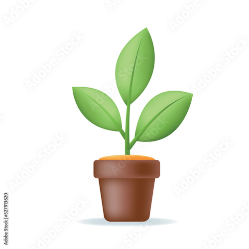 3d house plant with leaves in pot. Flower icon isolated on white background. Gardening or nature concept. Vector illustration.
