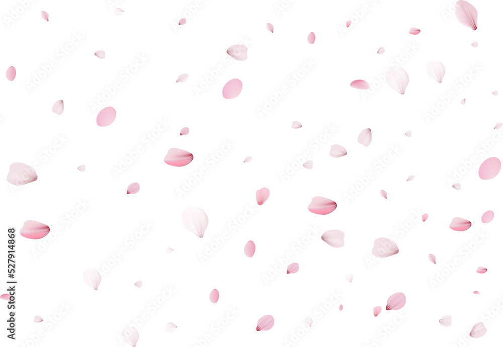 Pink flying petals.