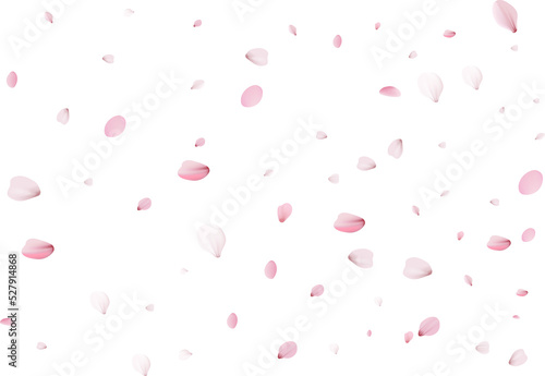 Pink flying petals. photo