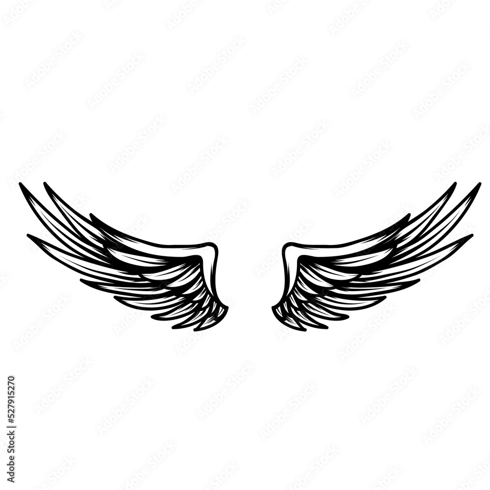 Obraz premium Wing isolated on white. PNG.