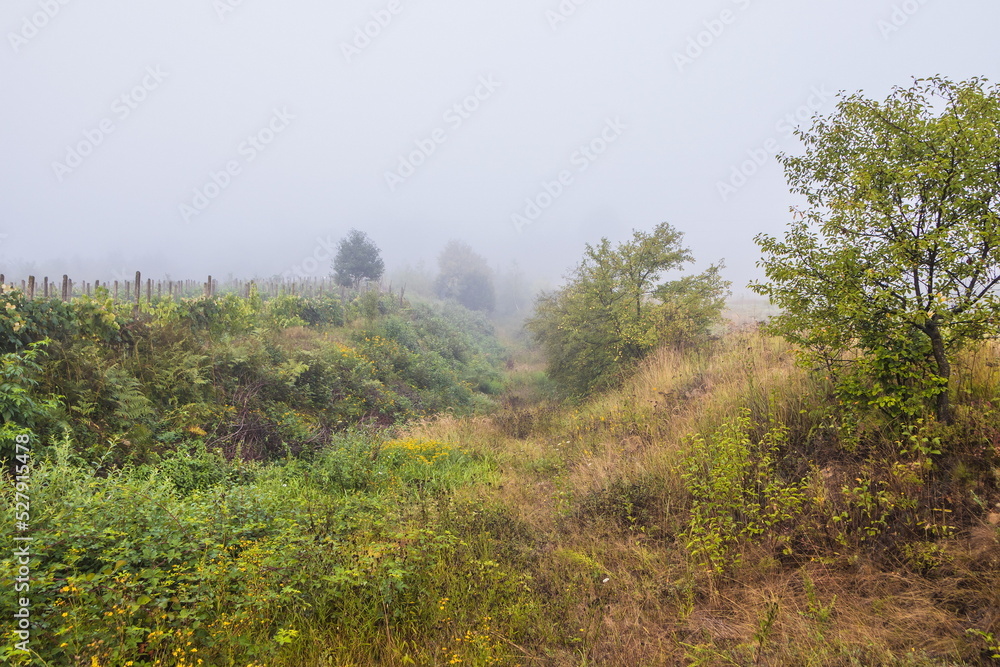 Mountain from view with small village and flow fog. Foggy summer morning in the mountains and a small village. Country road in the mountains. Carpathians. Polyana. Ukraine Mountain from view with small village and flow fog. Foggy summer morning in the mountains and a small village. Country road in the mountains. Carpathians. Polyana. Ukraine