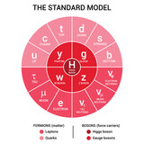 The standard model of particle physics