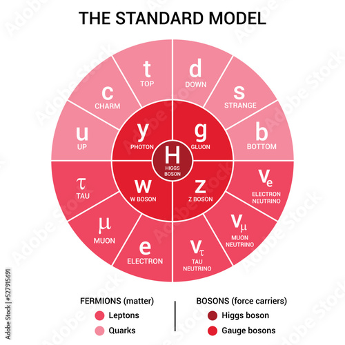 The standard model of particle physics