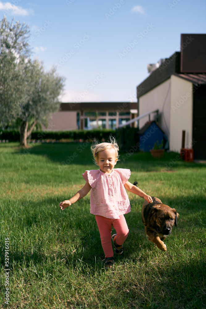 Little girl with a dog runs across the lawn. High quality photo Little girl with a dog runs across the lawn. High quality photo