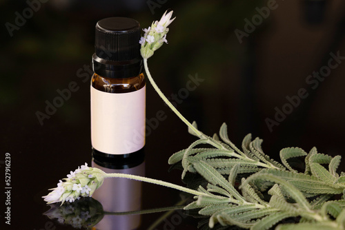 Essential oil bottle with lavender branch on the side. Black and reflective surface, selective focus.