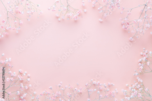 Beautiful flower background of pink gypsophila flowers. Flat lay, top view. Floral pattern.
