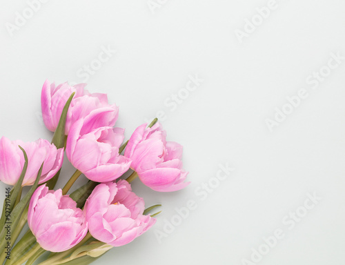 Pink tulip flowers on pastel background. © gitusik