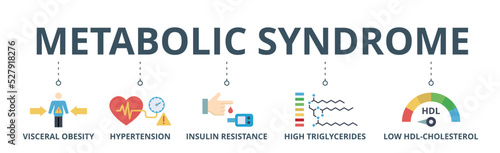 Symptoms of Metabolic Syndrome banner web icon vector illustration concept with an icon of Hypertension, Insulin Resistance, High Triglycerides, Low HDL-Cholesterol, Visceral Obesity photo