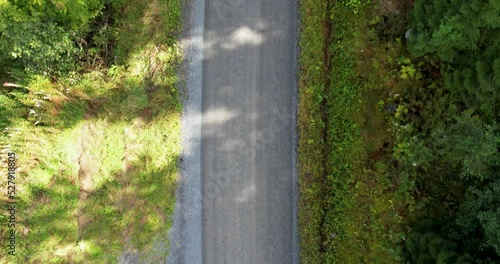 bird's eye view of a paved street in a forest in summer