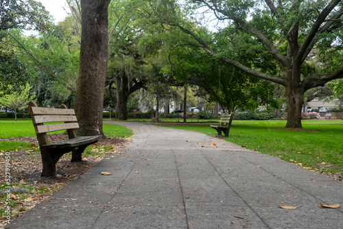 Forsythe Park in Savannah, Georgia, one of the city's most popular parks and attracts locals and tourists photo