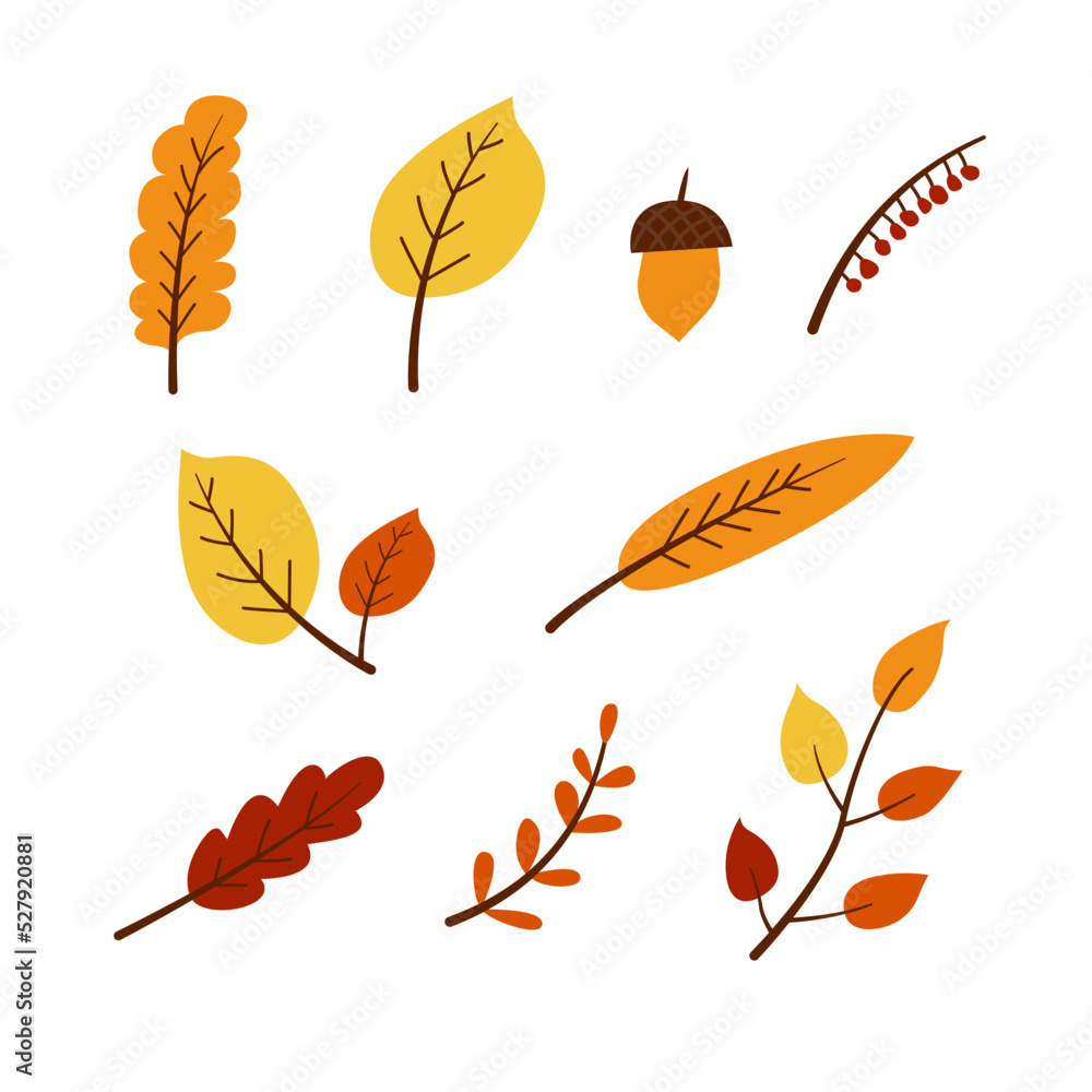 Collection of vector autumn leaves. Set of fall season elements in a flat style with editable stroke. Botanical elements, twig, acorn.