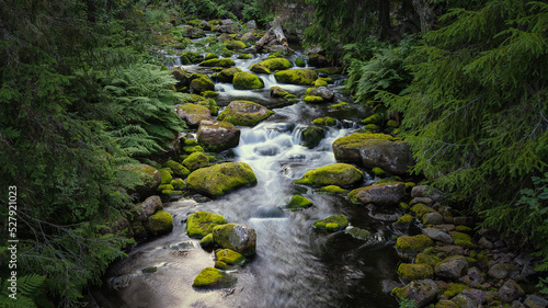 Beautiful creek in Fulufjallet National Park in Dalarna, Sweden. Popular tourist destination for hiking. photo