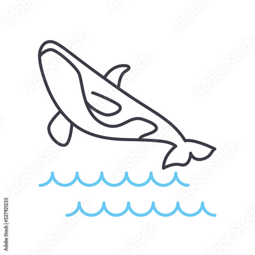 killer whale line icon, outline symbol, vector illustration, concept sign