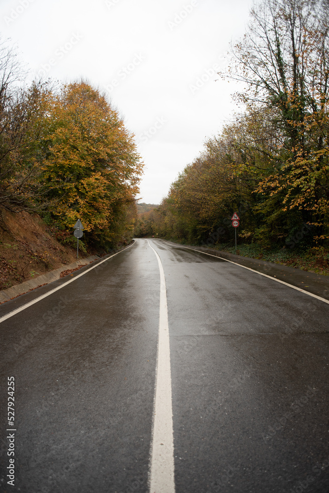 Asphalt road autumn forest with fallen leaves