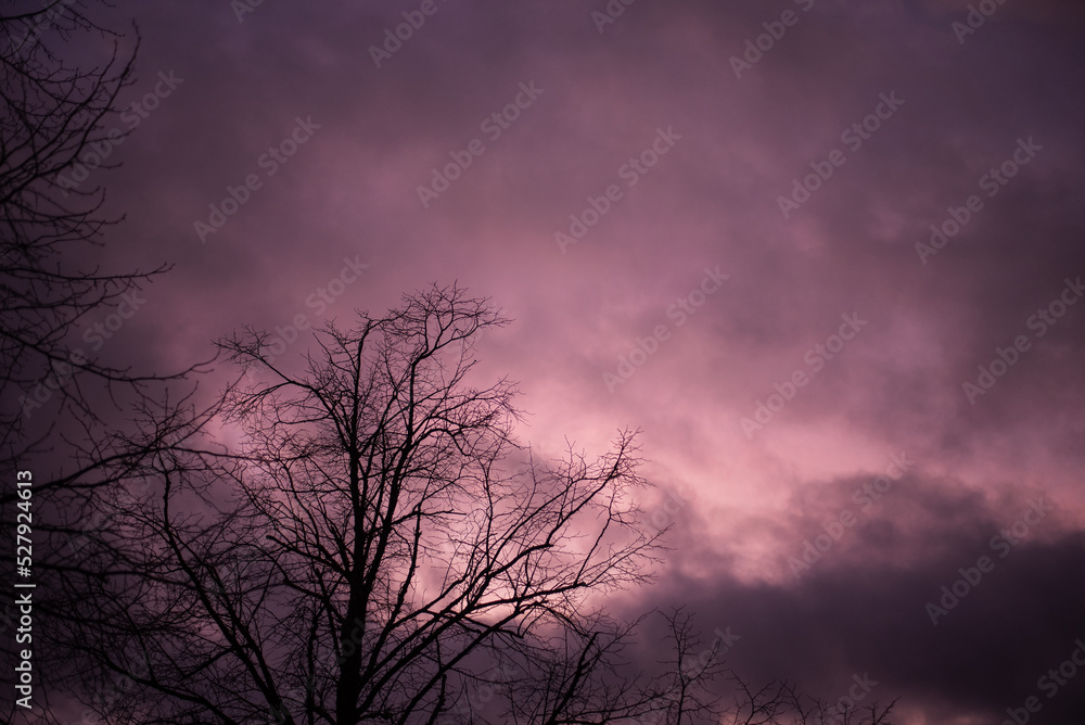 storm clouds over a tree silhouette storm clouds over a tree silhouette