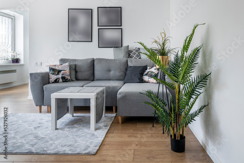 Modern interior design living room