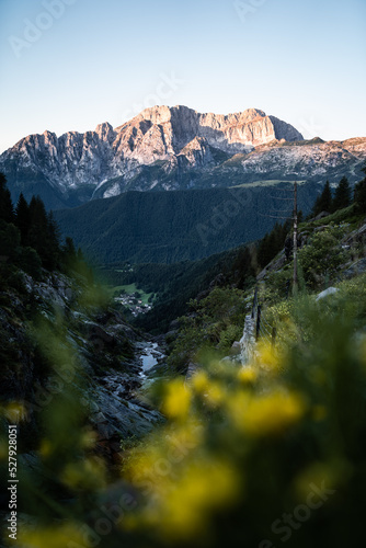 Scenic vew on Mount Presolana near the Gleno Dam, with some blurred yellow flowers in the foreground, in the Orobie Alps