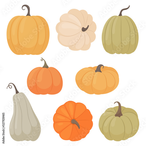 Pumpkins set. A variety of pumpkins in a flat style on a white background.