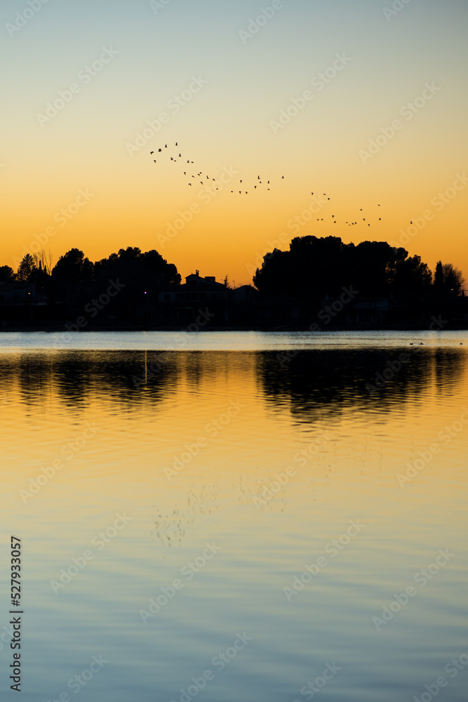 Birds flying over rippling river Birds flying over rippling river