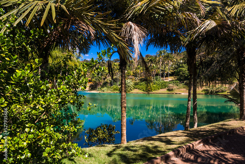 View of the Inhotim Park with the lake and palm trees  at Brumadinho  State of Minas Gerais  Brazil.