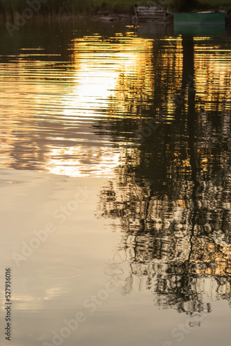 Reflection of the silhouettes of trees in lake water on the sunset. The lake is like a mirror at golden hour. 