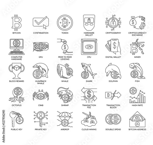 Bitcoin, Thin Line and Pixel Perfect Icons