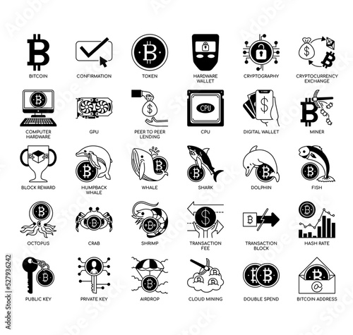 Bitcoin, Thin Line and Pixel Perfect Icons