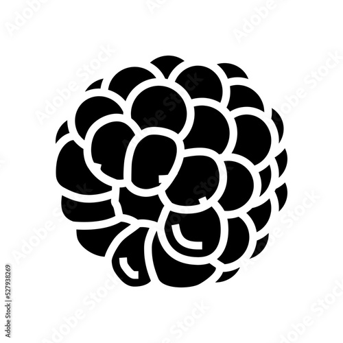 delicious blackberry glyph icon vector. delicious blackberry sign. isolated symbol illustration